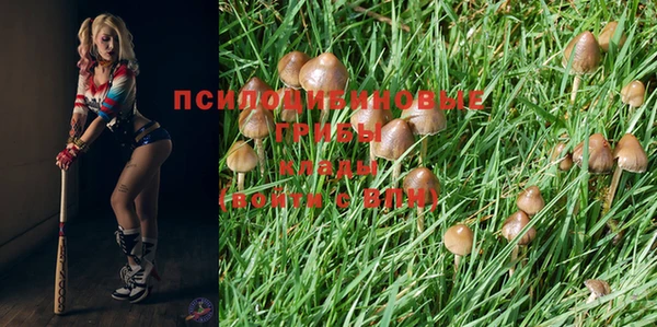 ешки Белоозёрский