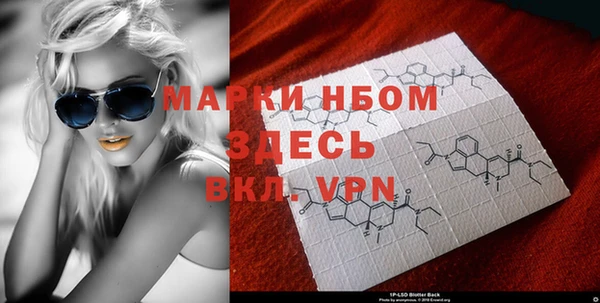 хмурый Богородицк