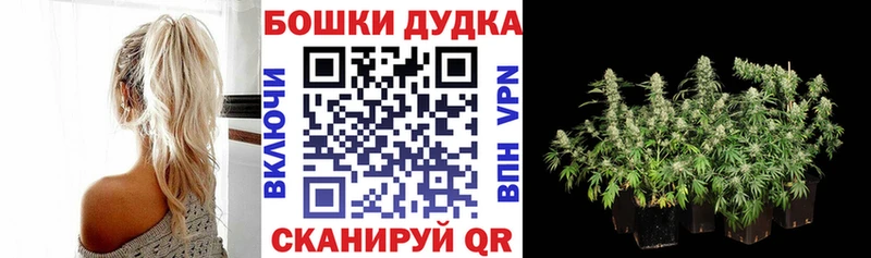 Конопля Bruce Banner  ОМГ ОМГ как войти  Боготол 